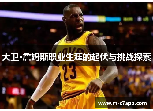 大卫·詹姆斯职业生涯的起伏与挑战探索