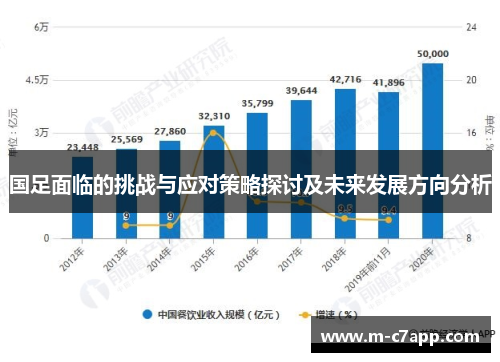 国足面临的挑战与应对策略探讨及未来发展方向分析