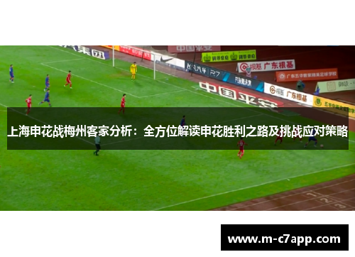 上海申花战梅州客家分析：全方位解读申花胜利之路及挑战应对策略