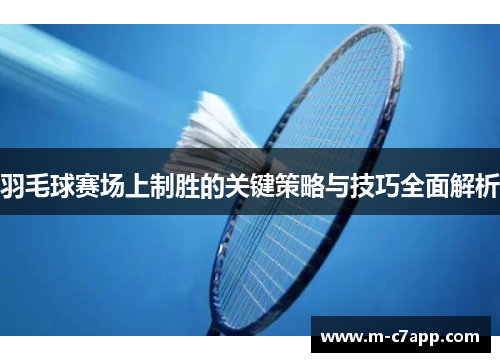 羽毛球赛场上制胜的关键策略与技巧全面解析