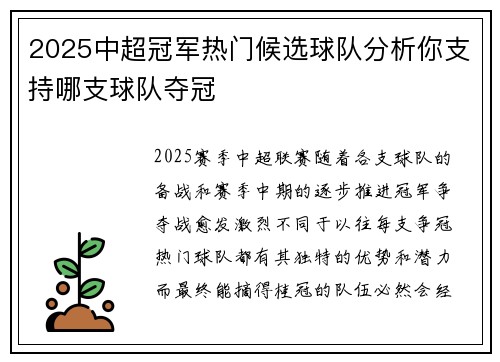 2025中超冠军热门候选球队分析你支持哪支球队夺冠
