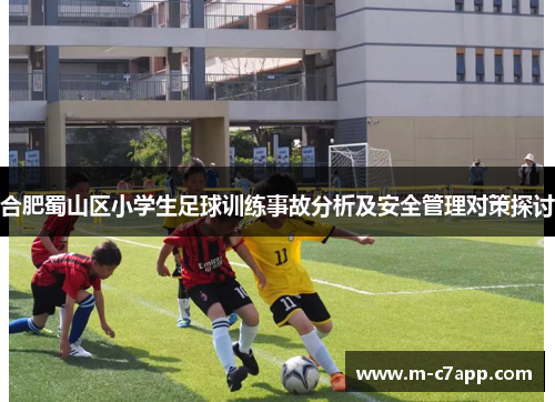 合肥蜀山区小学生足球训练事故分析及安全管理对策探讨