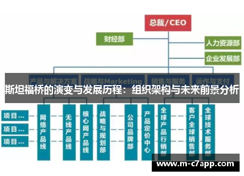 斯坦福桥的演变与发展历程：组织架构与未来前景分析