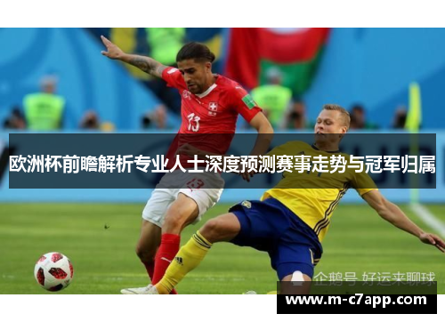 欧洲杯前瞻解析专业人士深度预测赛事走势与冠军归属